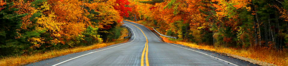 Fall road
