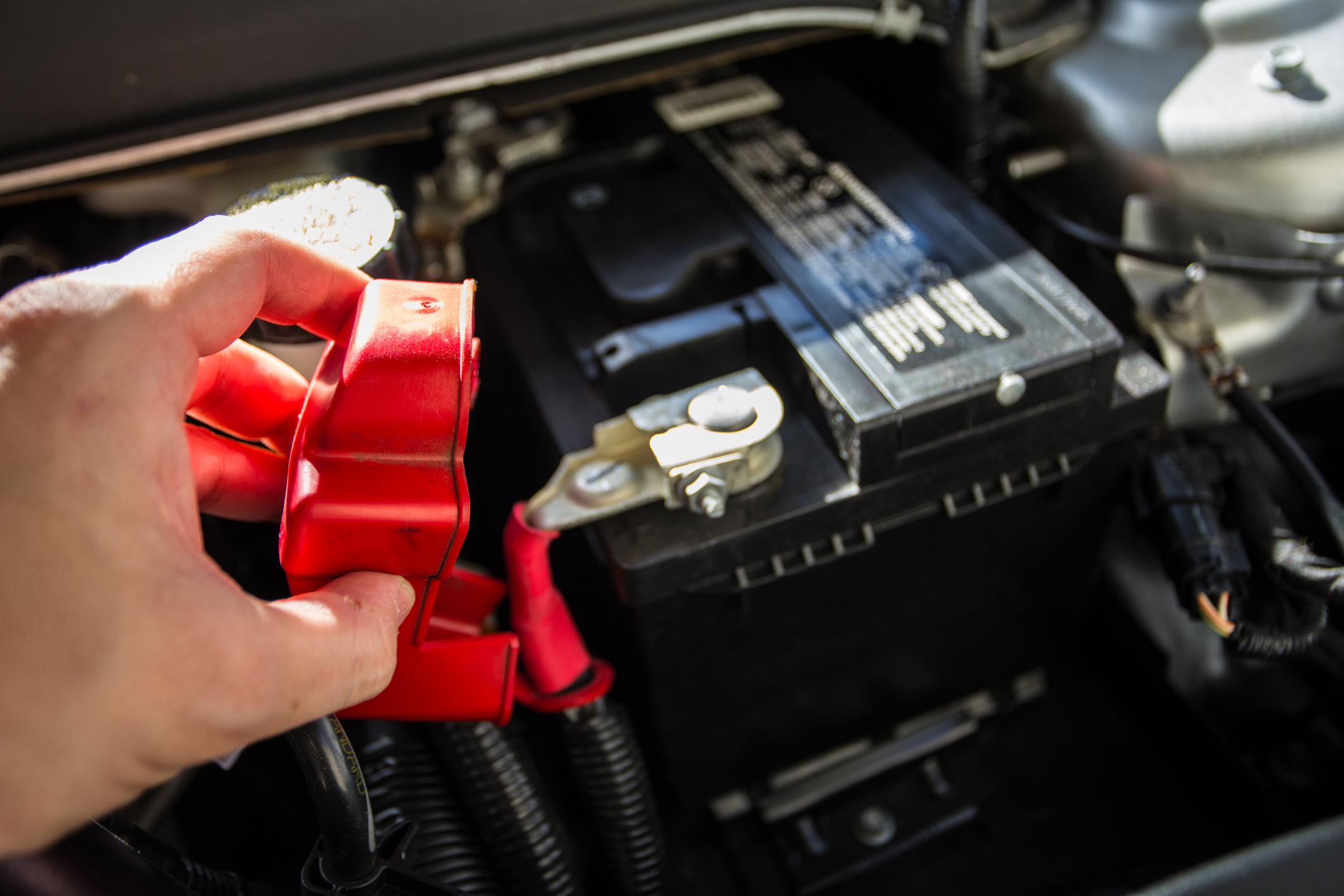 Family Auto Service technician checking battery in automobile as part of our battery service